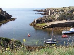 Les visites et excursions