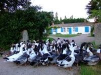 Ferme du pas de l'Ile