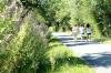 sentier lande